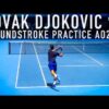 Novak Djokovic | forehand backhand practice