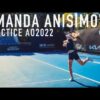Amanda Anisimova | Court Level Practice