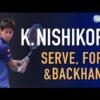 Kei Nishikori – Serve, Forehand & Backhand [Super Slow Motion] (2021)