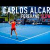 Carlos Alcaraz Forehand [Slow Motion]
