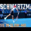 Diego Schwartzman Serve Practice | Super Slow Motion