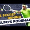 Analyzing Juan Martin’s Del Potro Powerful Forehand