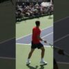 C.Alcaraz Forehand & Backhand Slow Motion #shorts