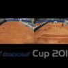 Final Babolat Cup 2018