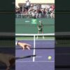 Novak Djokovic Up close slow-motion Indian wells 2025