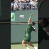 Novak Djokovic – Serve Compilation 2025