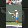 Novak Djokovic | Forehand Backhand Slow Motion [Front & Back View]