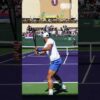 Novak Djokovic | Backhand Slow motion 2 [Back View] #shorts