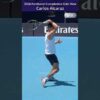 Carlos Alcaraz Forehand Compilation 2026 [Open Side View]